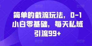 简单的截流玩法，0-1小白零基础，每天私域引流99+-网创电课网