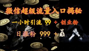 微信超级流量入口揭秘：一小时引流 99 + 创业粉，日涨粉 999 +-网创电课网