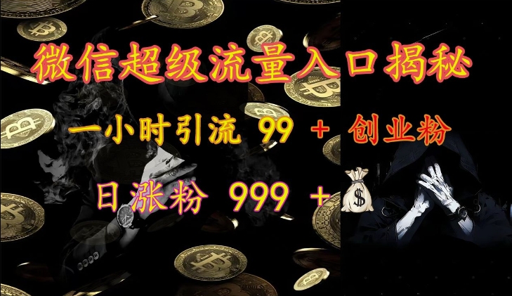 微信超级流量入口揭秘：一小时引流 99 + 创业粉，日涨粉 999 +-网创电课网