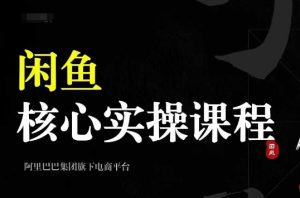2024闲鱼核心实操课程，从养号、选品、发布、销售，教你做一个出单的闲鱼号-网创电课网