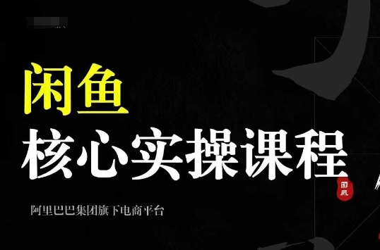 2024闲鱼核心实操课程,从养号、选品、发布、销售,教你做一个出单的闲鱼号-网创电课网