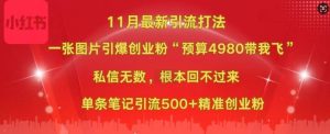 小红书11月最新图片打粉，一张图片引爆创业粉，“预算4980带我飞”，单条引流500+精准创业粉-网创电课网