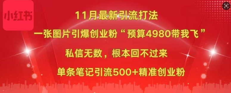 小红书11月最新图片打粉，一张图片引爆创业粉，“预算4980带我飞”，单条引流500+精准创业粉-网创电课网