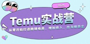 2024Temu实战营:从零开始打造跨境电商,增加收入,出海赚美金-网创电课网