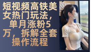 短视频高铁美女热门玩法,单月涨粉5万,拆解全套操作流程-网创电课网