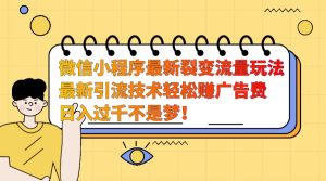 微信小程序最新裂变流量玩法，时间自由收益高轻松赚广告费，日入过千不是梦！-网创电课网