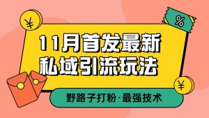 11月首发最新私域引流玩法，自动克隆爆款一键改写截流自热一体化 日引300+精准粉-网创电课网