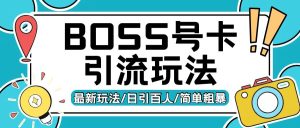 Boss直聘流量卡引流变现玩法，日引200+创业粉-网创电课网