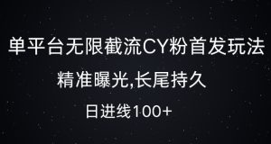 单平台无限截流创业粉首发玩法，精准曝光，长尾持久，日引流100+-网创电课网