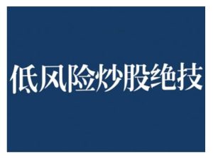 2024低风险股票实操营,低风险,高回报-网创电课网