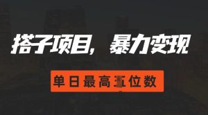 2024搭子玩法，0门槛，暴力变现，单日最高破四位数-网创电课网