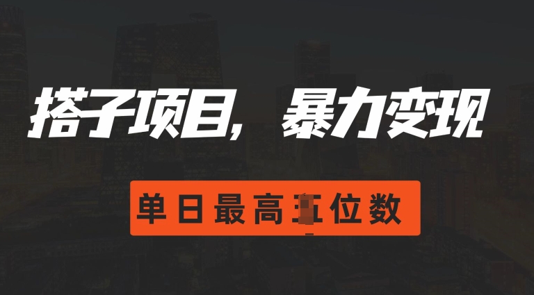 2024搭子玩法,0门槛,暴力变现,单日最高破四位数-网创电课网