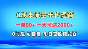 免费流量卡代理一单80+ 一天可达2000+-网创电课网