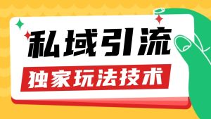 私域引流获客野路子玩法暴力获客 日引200+ 单日变现超3000+ 小白轻松上手-网创电课网