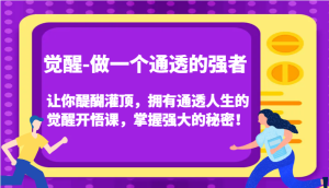 认知觉醒，让你醍醐灌顶拥有通透人生，掌握强大的秘密！觉醒开悟课（更新）-网创电课网