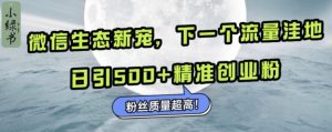 微信生态新宠小绿书：下一个流量洼地，日引500+精准创业粉，粉丝质量超高-网创电课网