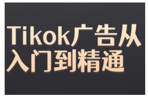 Tiktok Ads实操教程，Tiktok广告从入门到精通-网创电课网