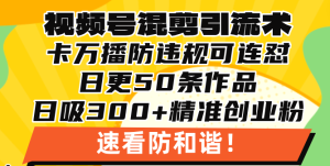 视频号混剪引流技术，500万播放引流17000创业粉，操作简单当天学会-网创电课网