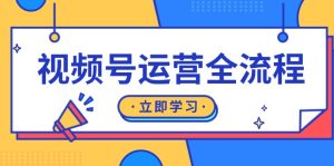 视频号运营全流程:起号方法、直播流程、私域建设及自然流与付费流运营-网创电课网