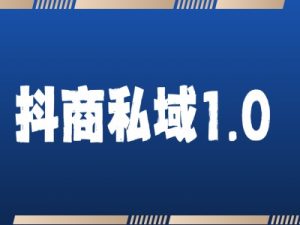 抖商服务私域1.0，抖音引流获客详细教学-网创电课网