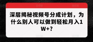 深层揭秘视频号分成计划，为什么别人可以做到轻松月入1W+?-网创电课网