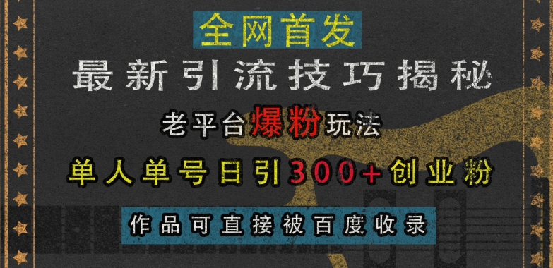 最新引流技巧揭秘，老平台爆粉玩法，单人单号日引300+创业粉，作品可直接被百度收录-网创电课网