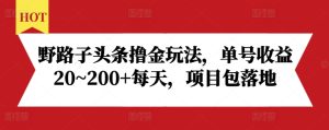 野路子头条撸金玩法,单号收益20~200+每天,项目包落地-网创电课网