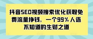抖音SEO视频搜索优化获取免费流量挣钱，一个99%人还不知道的生财之道-网创电课网