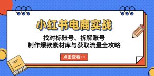 小红书电商实战：找对标账号、拆解账号、制作爆款素材库与获取流量全攻略-网创电课网