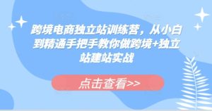 跨境电商独立站训练营,从小白到精通手把手教你做跨境+独立站建站实战-网创电课网