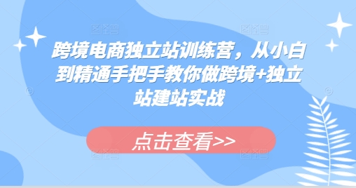 跨境电商独立站训练营，从小白到精通手把手教你做跨境+独立站建站实战-网创电课网