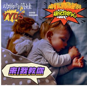 AI制作动物与萌娃互动视频，瞬间萌化你的心，粉丝大米一起收货！-网创电课网