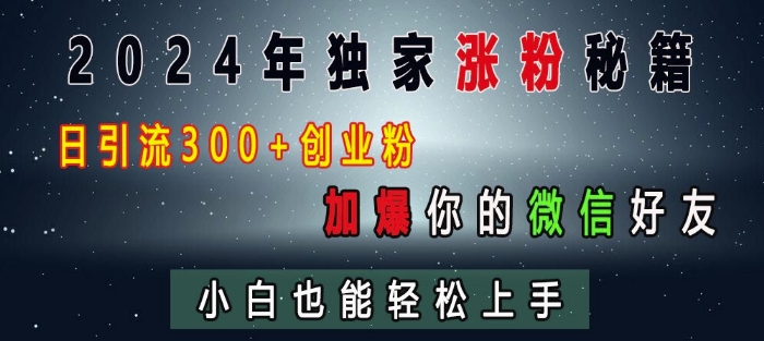 2024年独家涨粉秘籍,日引流300+创业粉,加爆你的微信好友,小白也能轻松上手-网创电课网