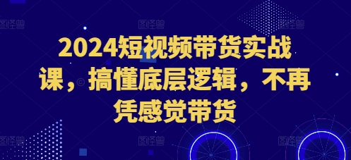 2024短视频带货实战课，搞懂底层逻辑，不再凭感觉带货-网创电课网