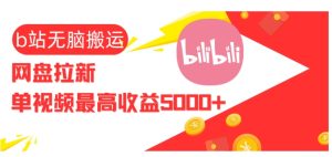 视频无脑搬运b站网盘拉新，单视频最高收益5k+-网创电课网