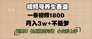视频号养生赛道，一条视频1800，超简单，长期稳定可做，月入3w+不是梦-网创电课网