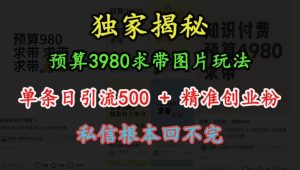 预算3980求带 图片玩法，单条日引流500+精准创业粉，私信根本回不完-网创电课网