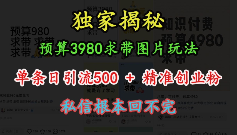 预算3980求带 图片玩法,单条日引流500+精准创业粉,私信根本回不完-网创电课网