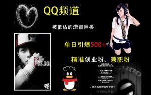 QQ频道：被低估的流量巨兽，单日引爆500+精准创业粉、兼职粉的引流秘籍-网创电课网