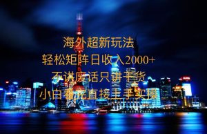 2025全新海外暴力玩法,操作简单,小白轻松上手-网创电课网