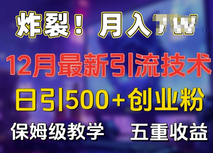 炸裂!揭秘12月最新日引流500+精准创业粉,多重收益保姆级教学-网创电课网