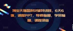 淘宝天猫盈利突破特训营,6天6夜,课程PPT,导师脑图,学员脑图,课程录音-网创电课网