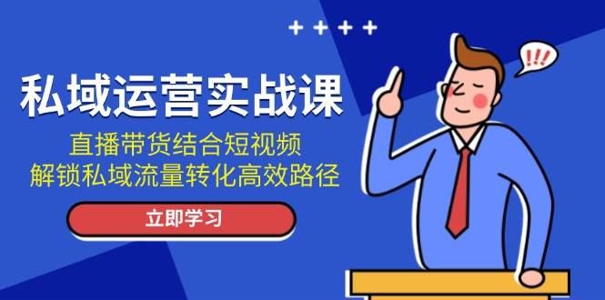 私域运营实战课：直播带货结合短视频，解锁私域流量转化高效路径-网创电课网
