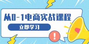 从零做电商实战课程,教你如何获取访客、选品布局,搭建基础运营团队-网创电课网