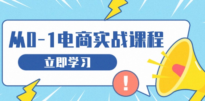 从零做电商实战课程，教你如何获取访客、选品布局，搭建基础运营团队-网创电课网
