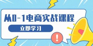 从零做电商实战课程，教你如何获取访客、选品布局，搭建基础运营团队-网创电课网