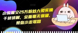 小说推文25万粉丝大佬实操干货讲解，全面毫无保留，帮你少走弯路-网创电课网