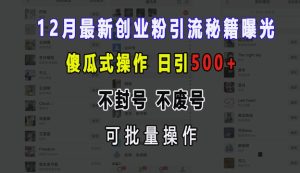 12月最新创业粉引流秘籍曝光 傻瓜式操作 日引500+ 不封号 不废号 可批量操作-网创电课网