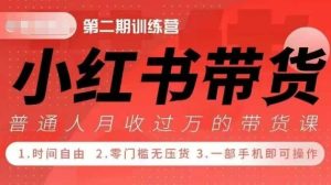 小Red书带货42天训练营 2.0版，宝妈+自由职+上班族+大学生，提高副业收入的大红利项目-网创电课网