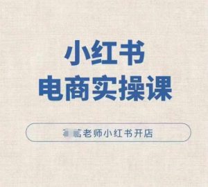 小红薯电商实操课，小红书开店实操必学课-网创电课网